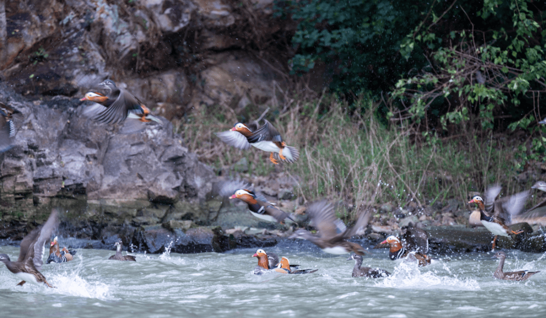 水润城郭 一脉连古今不朽情缘MG无锡：碧(图4)