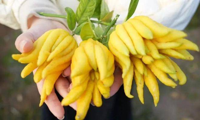 口村“电商钥”打开“共富锁”mg不朽情缘游戏登录入口北山(图8)