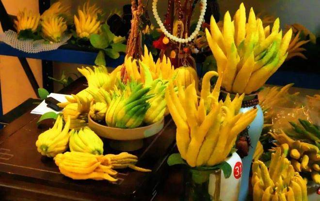 口村“电商钥”打开“共富锁”mg不朽情缘游戏登录入口北山(图7)