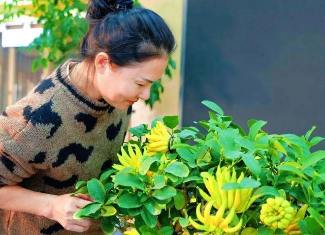 口村“电商钥”打开“共富锁”mg不朽情缘游戏登录入口北山(图9)